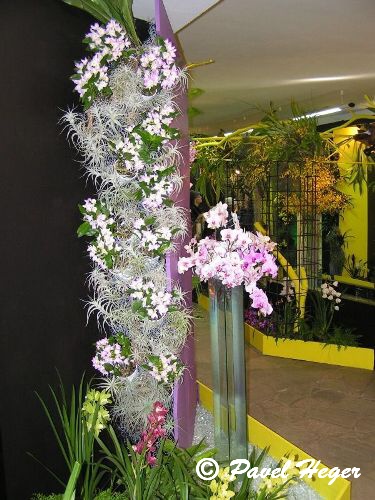 Expozice